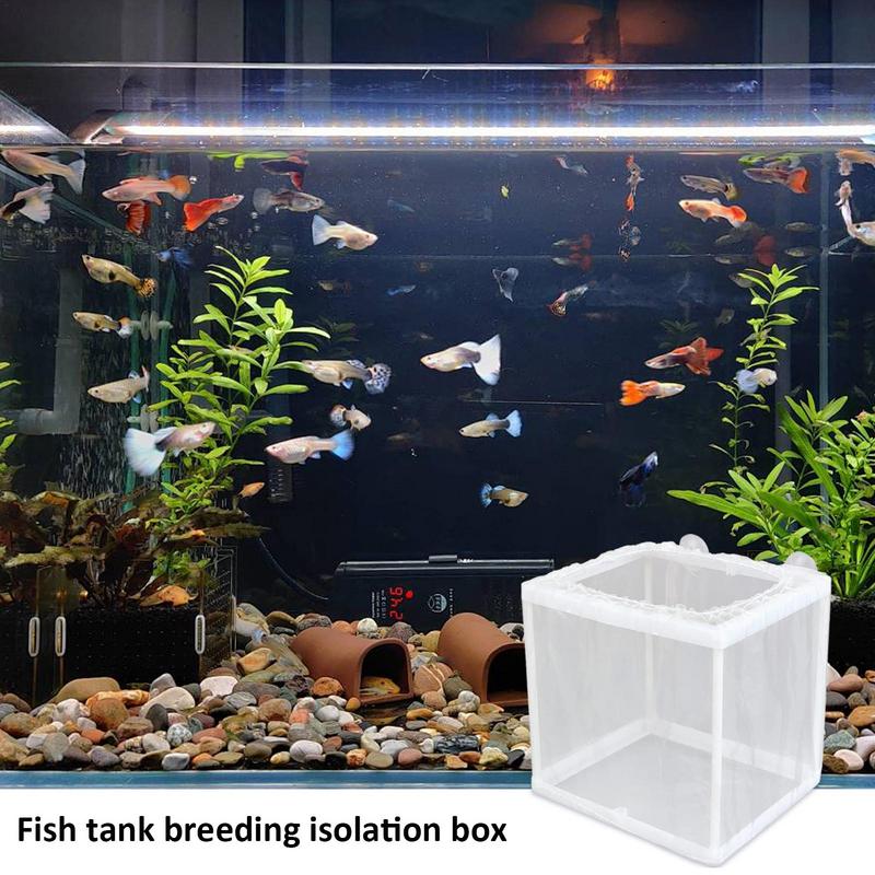 Fish Breeder Box with Suction, - đánh giá và giá Aquarium Fish Jar