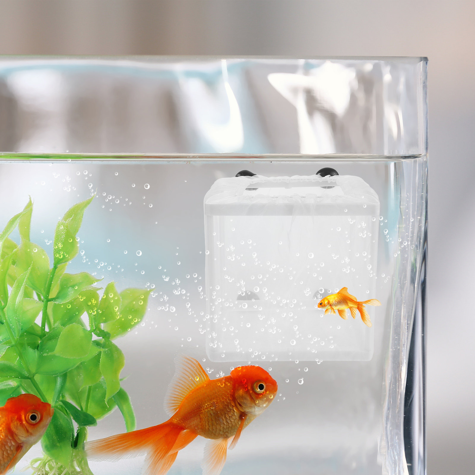 2Pcs Fish Breeding Box Aquariu - đánh giá và giá Aquarium Fish Eggs
