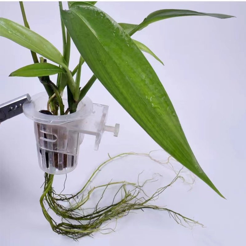 Aquarium Planting Basket Hydro - đánh giá và giá Aquarium Fish For Beginners