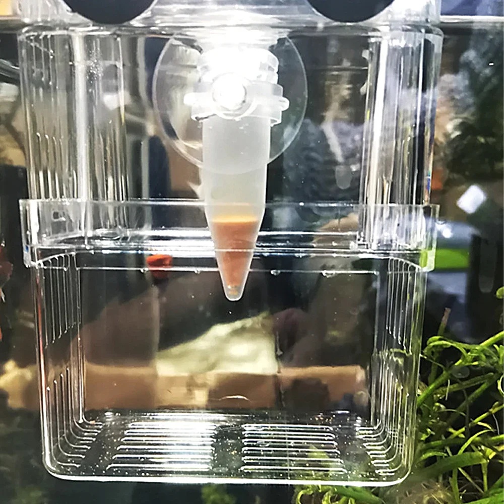 Automatic Fish Feeder Cone Shr - đánh giá và giá Aquarium Fish Eggs