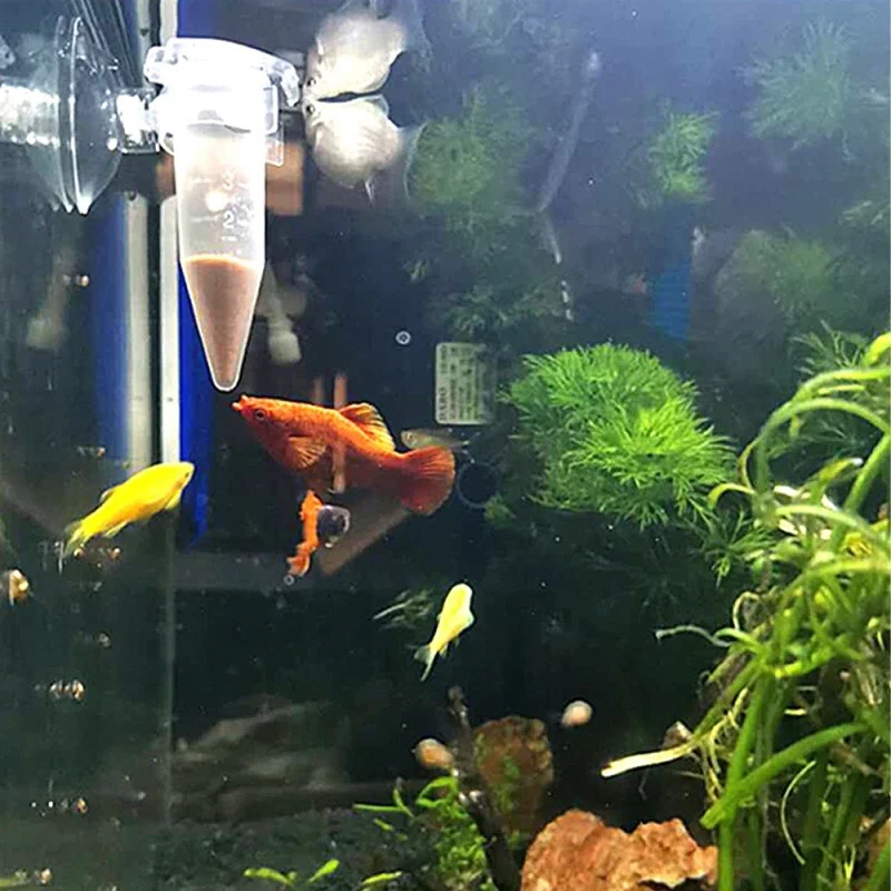 Automatic Fish Feeder Cone Shr - đánh giá và giá Aquarium Fish Eggs